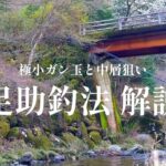 渓流釣り  餌釣り必釣法【初心者必見】