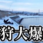 【北海道】【釣り】無限に釣れる石狩湾新港に一同騒然！！