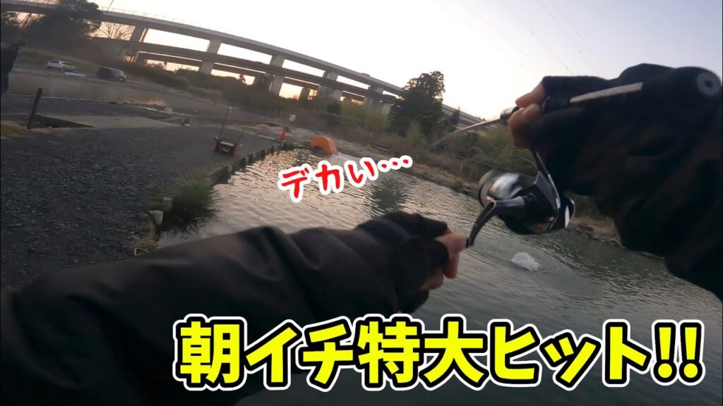 【エリアトラウト】ナリの大物日記【管理釣り場･釣り･アクアヘブン】