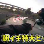 【エリアトラウト】ナリの大物日記【管理釣り場･釣り･アクアヘブン】