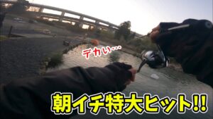 【エリアトラウト】ナリの大物日記【管理釣り場･釣り･アクアヘブン】