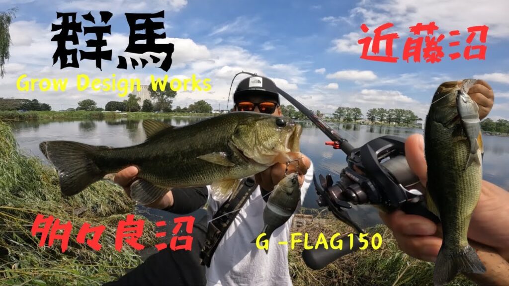 【多々良沼】群馬のメジャーフィールドに挑む！【近藤沼】