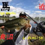 【多々良沼】群馬のメジャーフィールドに挑む！【近藤沼】