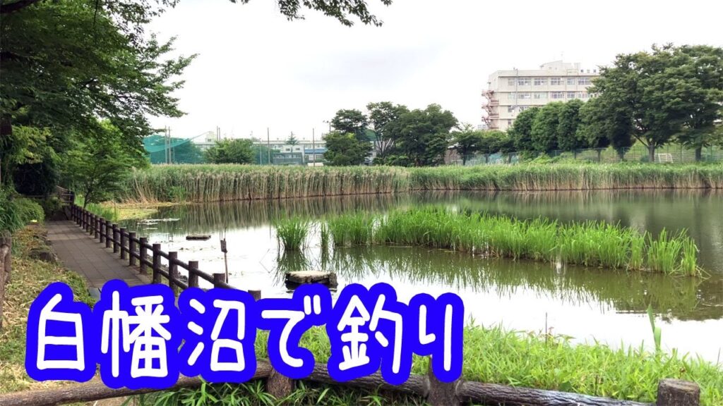 白幡沼で釣り【浦和】