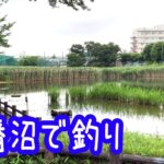 白幡沼で釣り【浦和】