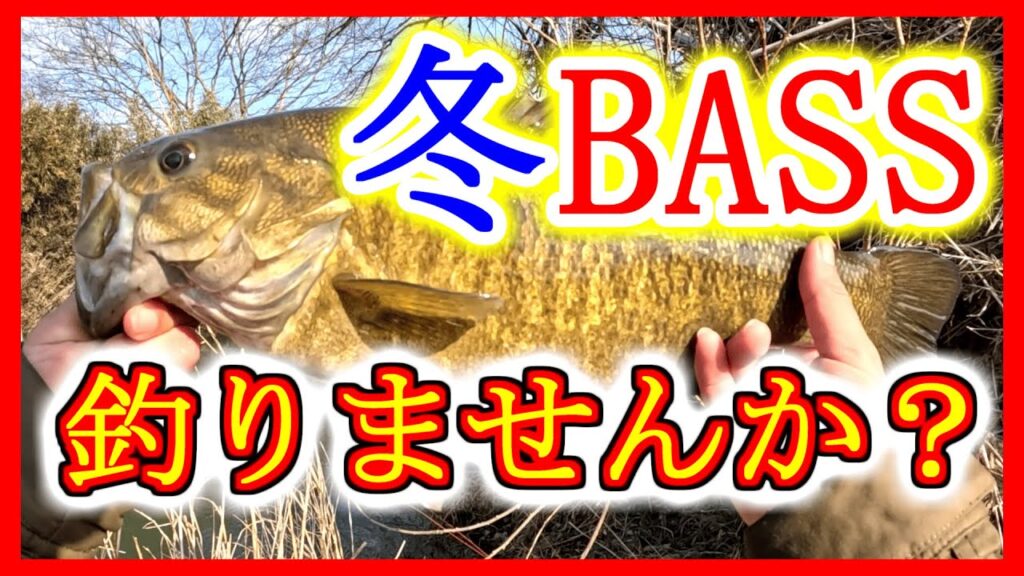 冬の川スモール、釣りませんか？