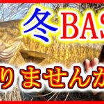 冬の川スモール、釣りませんか？