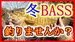 冬の川スモール、釣りませんか?