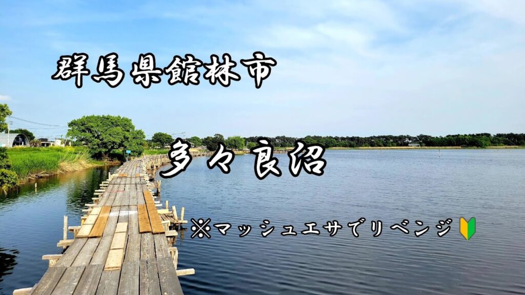 【へら鮒釣り】マッシュエサは難しい…　多々良沼にリベンジに行って来ました👏