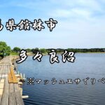 【へら鮒釣り】マッシュエサは難しい…　多々良沼にリベンジに行って来ました👏