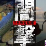 支笏湖に響く鳴り物がブラウントラウトの活性を上げる？恒常化したあのメソッドで引き出す一本【北海道釣り】【支笏湖釣り】