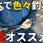一本で色々な釣りに使えてお得な、買って損しないおススメ万能ロッドはコレです。