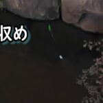 タナゴ狙いの釣り収め＆裏話とか