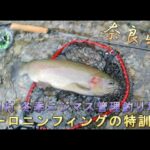 天川村 冬季ニジマス管理釣り場でユーロニンフィングの特訓だ!