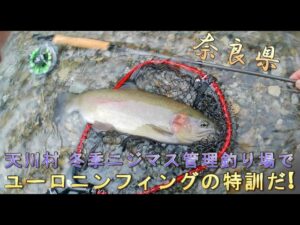 天川村 冬季ニジマス管理釣り場でユーロニンフィングの特訓だ!