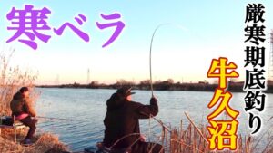 牛久沼で厳寒期の底釣り！真冬に見事な寒ベラが釣れる有名ポイントに挑む【西谷田川】