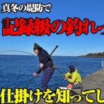 カゴ釣りを簡単かつシンプルに。なのに釣れる…！今後も活躍必至の超優秀仕掛けと出会った件。