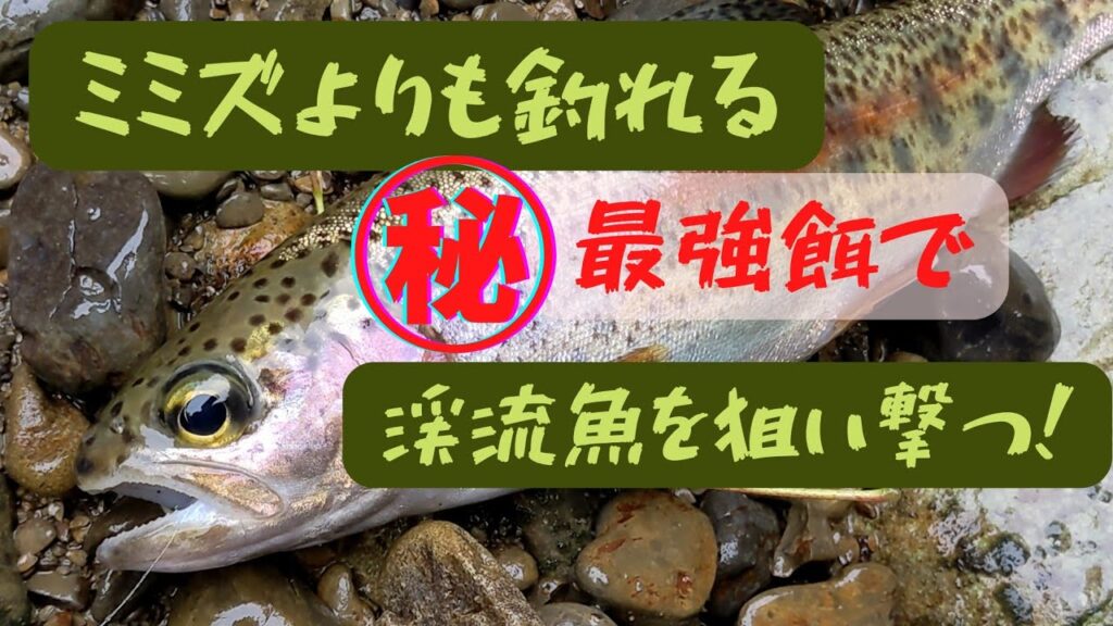 ミミズよりも釣れる、丸秘最強餌で渓流魚を狙い撃つ
