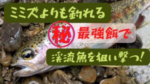 ミミズよりも釣れる、丸秘最強餌で渓流魚を狙い撃つ
