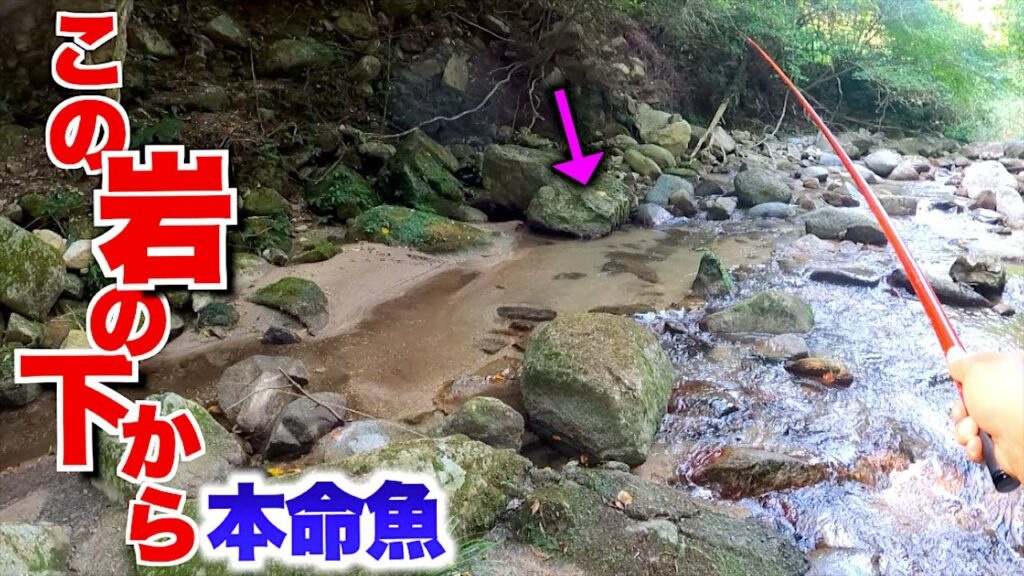 狙った魚が渓流の岩下から次々に飛び出してきた！！