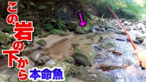 狙った魚が渓流の岩下から次々に飛び出してきた!!