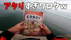 業務スーパーのむきあさりで海釣り入門に楽しすぎる釣り