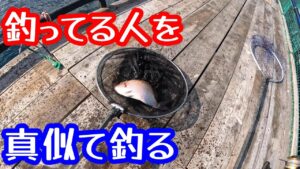 【海上釣堀】激シブシーズンは釣っている人を真似て釣る【まるや】