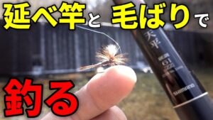 【渓流釣り】誰でも釣れる!延べ竿と毛ばりを使ったテンカラ釣り
