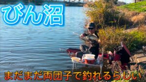 びん沼へらぶな釣り！上手い人は両団子で釣れるみたい！底釣りしてんのに勝てないw