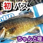 yasu １月初バスはこんな感じで釣る【川バス釣り】スモールマウスバス2025年1月Smallmouth bassfishing