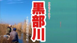 今年も1人で来てみた！黒部川でへらぶな釣り 千葉県香取郡東庄町