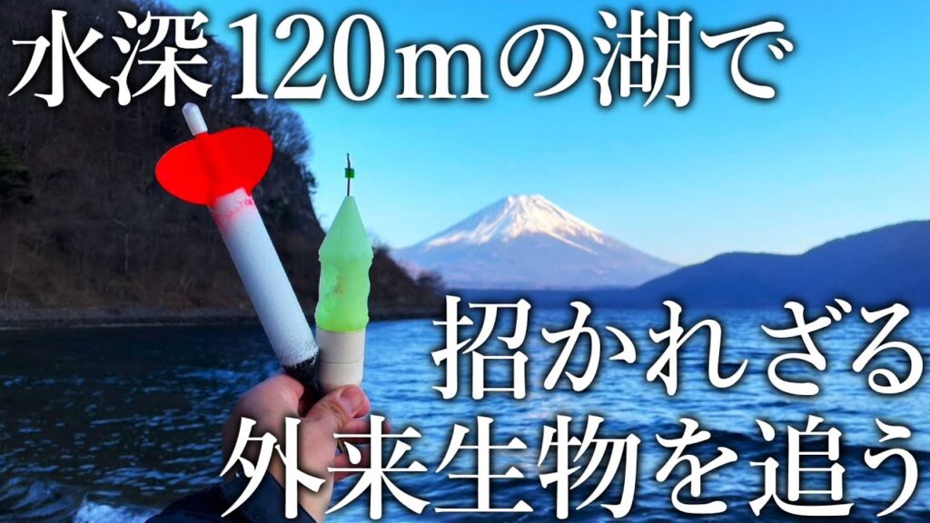 【カゴ釣りで狙う本栖湖のレイクトラウト】－10℃の寒冷地帯で招かれざる外来生物を追う