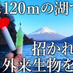 【カゴ釣りで狙う本栖湖のレイクトラウト】－10℃の寒冷地帯で招かれざる外来生物を追う