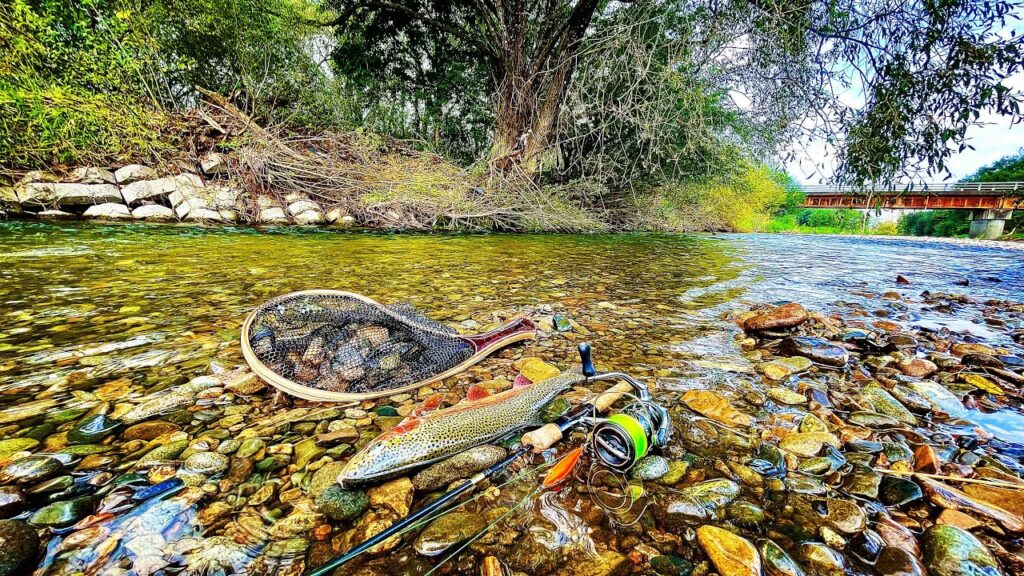 【魚居る!!】街から10分で行ける田舎の川にルアーを投げると・・・十勝の釣り