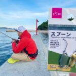 ダイソーのスプーンが海釣りにも使えるらしいので試してみた【100円】