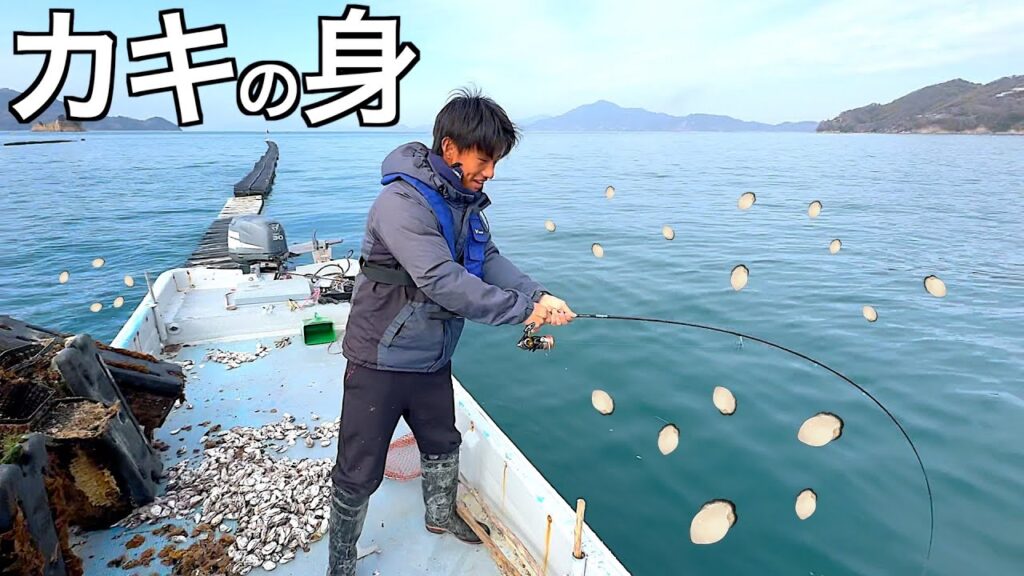 牡蠣の身100個でおびき寄せ釣りしてみると・・・