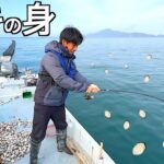 牡蠣の身100個でおびき寄せ釣りしてみると・・・