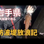 [岩手県 海釣り] 2月に入ってもイカって釣れるのか？検証してみた‥大船渡 長崎漁港で夜釣り