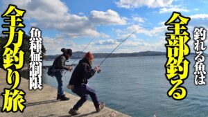 釣りバカ2名による全力釣り旅!!手段問わず本気で釣りしたら…大アジ、青物、怪魚。尋常ではない魚種数になった件。堤防から磯まで全部釣る!!