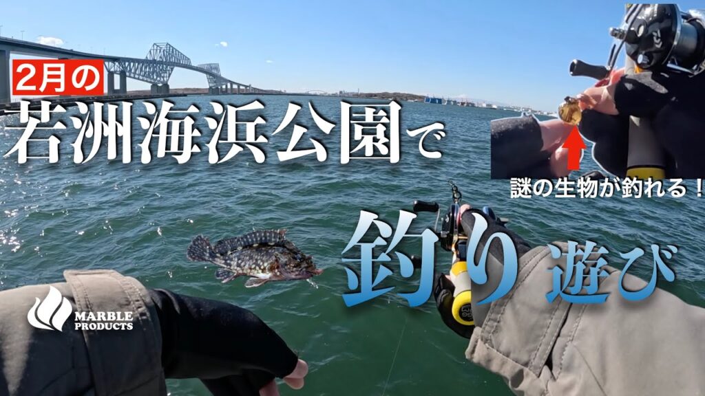 【若洲海浜公園】2月の釣りでカサゴを狙う野遊び/謎の生物が釣れる？冬の防波堤【穴釣り】エッグアームショーティの釣りが楽しい