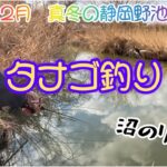 【タナゴ釣り】これがリアル‼️ウキ仕掛けの手軽で簡単な真冬の小物釣り🔰静岡野池！2月！