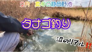 【タナゴ釣り】これがリアル‼️ウキ仕掛けの手軽で簡単な真冬の小物釣り🔰静岡野池！2月！
