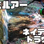 【アマゴ】渇水の渓流でルアーを投げてみると⋯！2月の渓でアマゴ釣り【冬アマゴ/ネイティブトラウト/渓流釣り/ルアー】