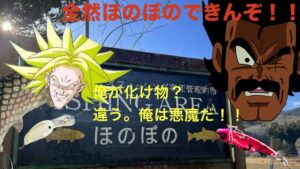 フィッシングエリアほのぼの釣行。って全然ほのぼのできなーい!!!モンスターだらけの2号池!【エリアトラウト】【管理釣り場】