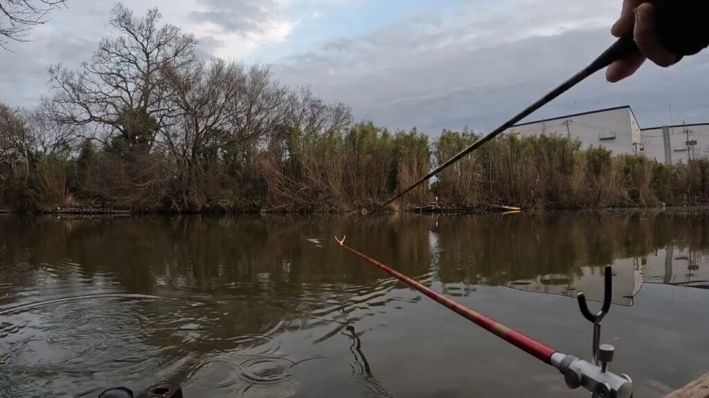 埼玉県　灰俵沼　ヘラブナ釣り　2月　底釣り