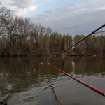 埼玉県　灰俵沼　ヘラブナ釣り　2月　底釣り