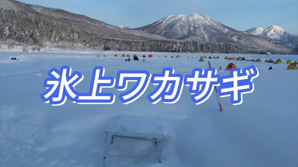 【ワカサギ釣り】2年ぶりにオープンした霊仙寺湖氷上ワカサギで当たりを拾うのに苦戦しました