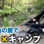 【20代女のソロキャン①】渓流釣りして山菜採りして、川辺ソロキャンプが楽しすぎた