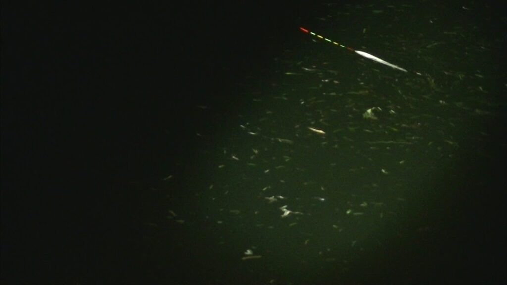 別所沼釣り映像2018.8.18.19:35