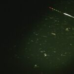 別所沼釣り映像2018.8.18.19:35